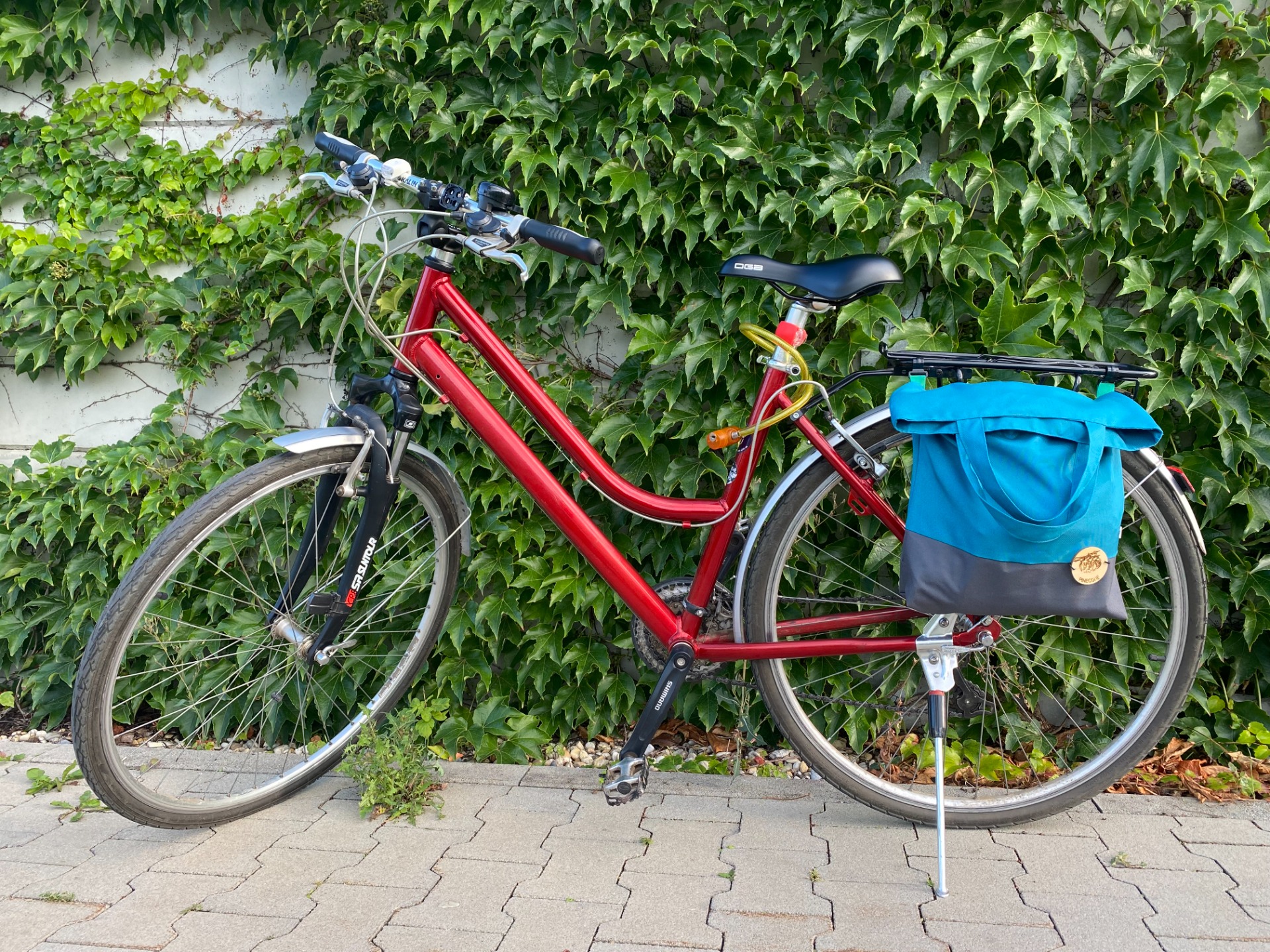 Pinecone Cargoback - shopping bag for bikers
